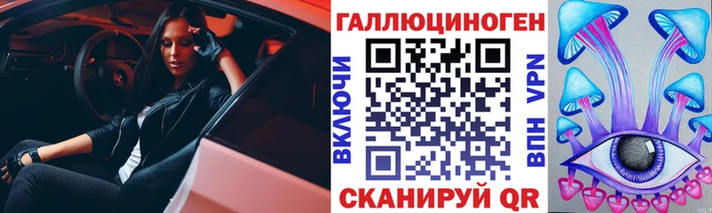 Псилоцибиновые грибы Psilocybe Саранск